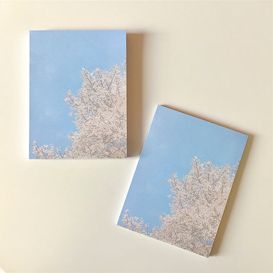 [Merifilm] Cherry blossoms Memo pad