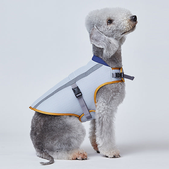 Cooling Vest