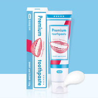 Premium Toothpaste 120g